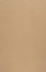 1-02 Terre d’ombre