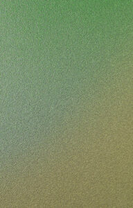 (10-03) Tropischer Wald