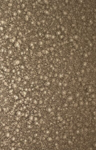 (11-06) Braun Martelé