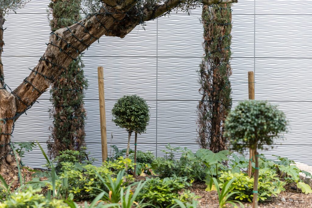 20 Ajaccio Corse Centre commercial Leclerc AQU DUN com06 1 scaled 1