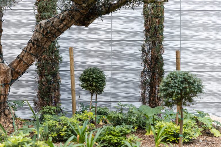 20 Ajaccio Corse Centre commercial Leclerc AQU DUN com06 scaled 1