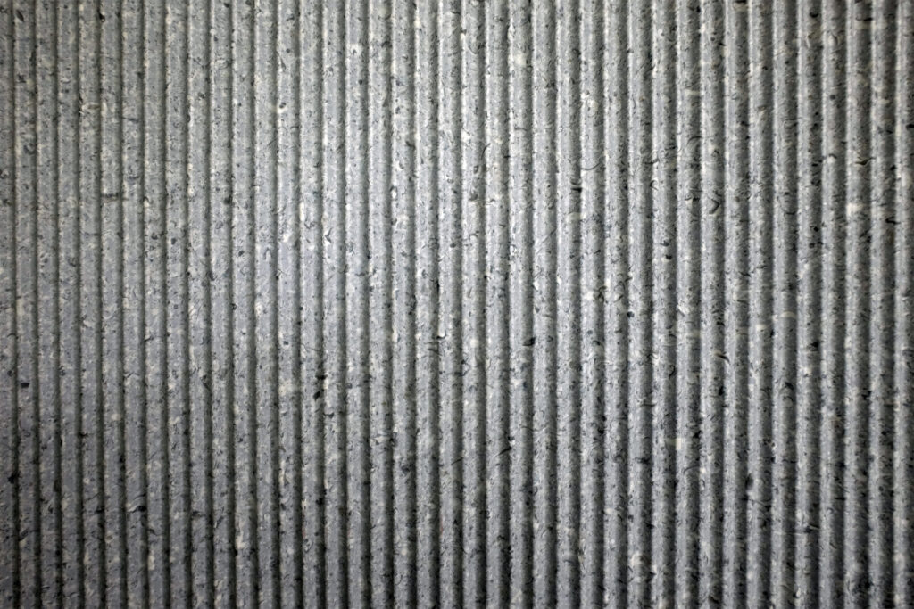 Aspect Carea Taiga Graphique scaled