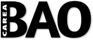 BAO: Verkleidung mit unterkonstruktion