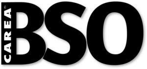 BSO: Verkleidung ohne Unterkonstruktion