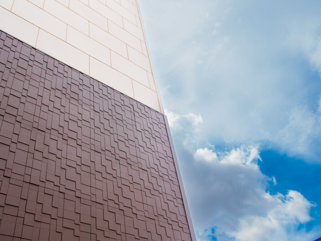 CAREA CALMETTE WEB 02 1