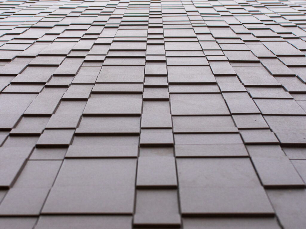 CAREA CALMETTE WEB 04 1