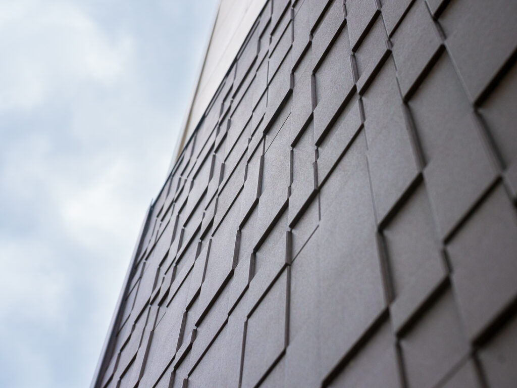 CAREA CALMETTE WEB 19 1