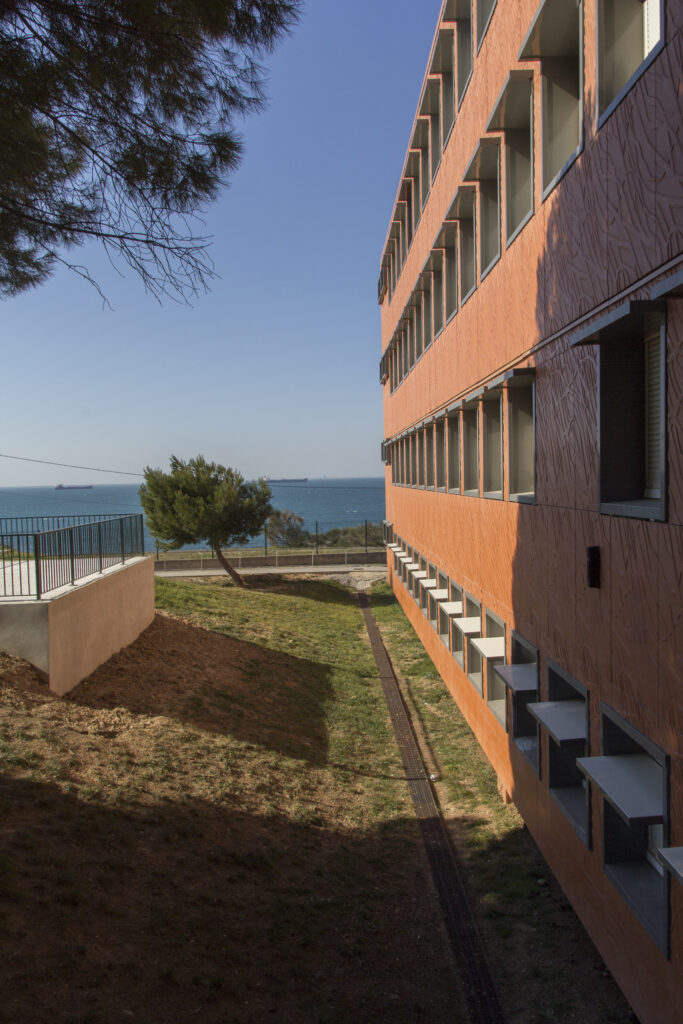 NON RES COLL MISTRAL PORT DE BOUC ACANTHA VEGETAL3 scaled