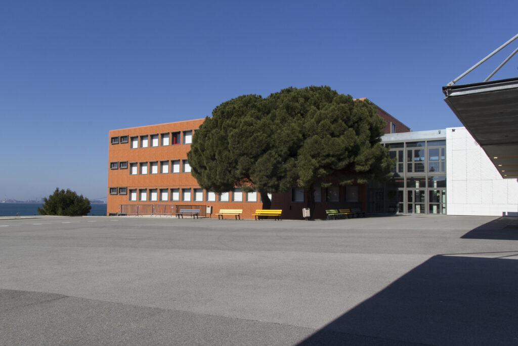 NON RES COLL MISTRAL PORT DE BOUC ACANTHA VEGETAL5 scaled