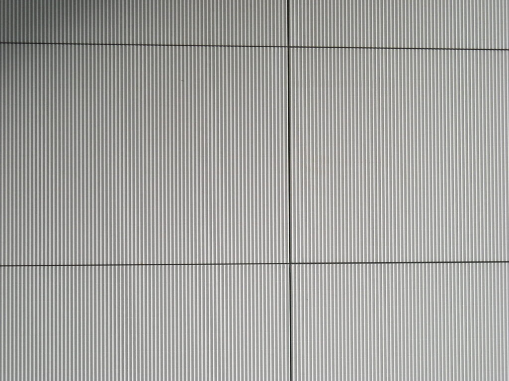 NON RES COLL VAL D OUDON LE LION D ANGERS 11ACANTHA LM ET TAIGA