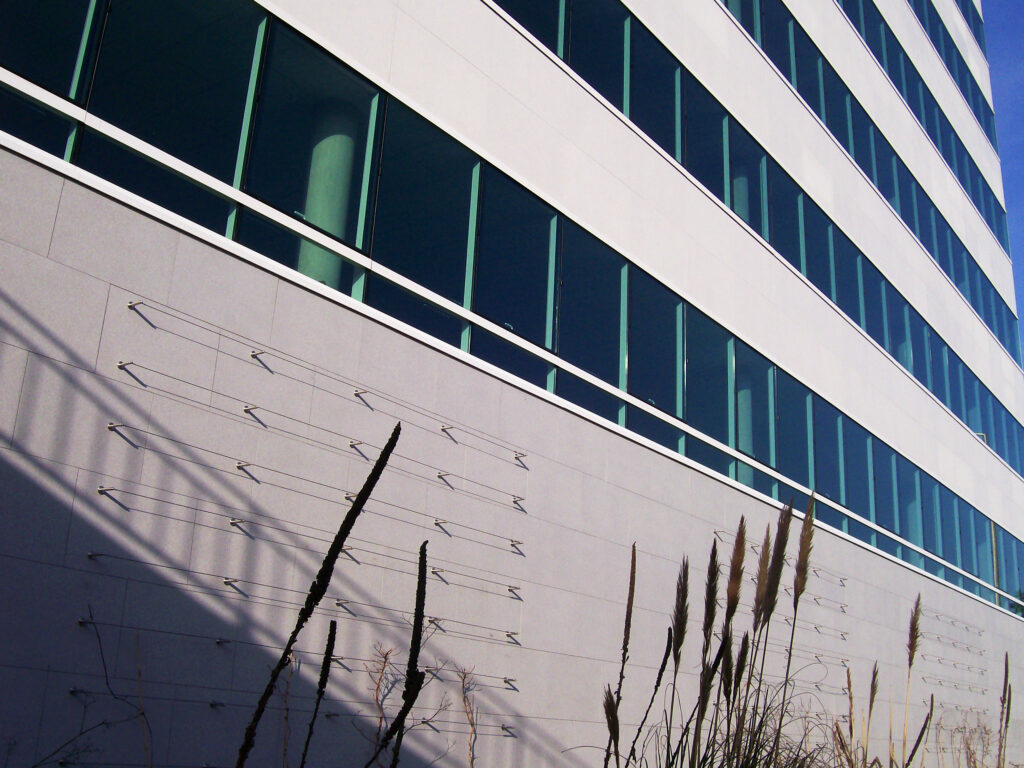 NON RES ILOT DE LA RAPE ORLEANS 74ACANTHA LM ARDAL ARMADA LISSE scaled