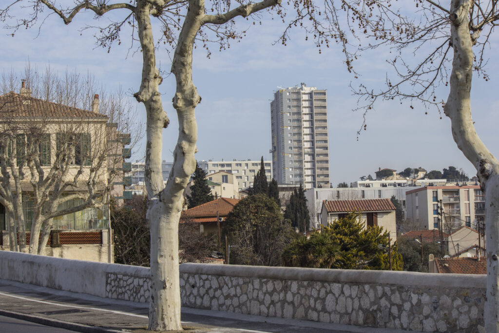 RES LA VISTE MARSEILLE ACANTHA CANNELE 28 scaled