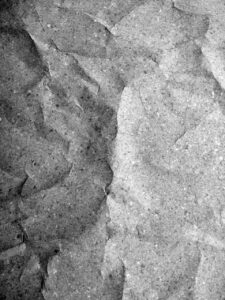 RHODES – Organisch